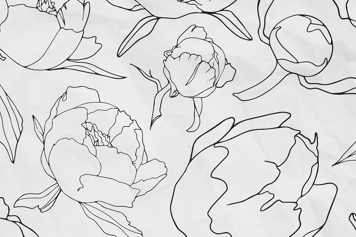 Peony flower collection, an Illustration by Maria's little shop (Photo 7 of 7)