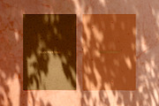 Madara - Botanical Shadow Overlays, a Texture Graphic by Studio Yorktown (Thumbnail 6 of 17)