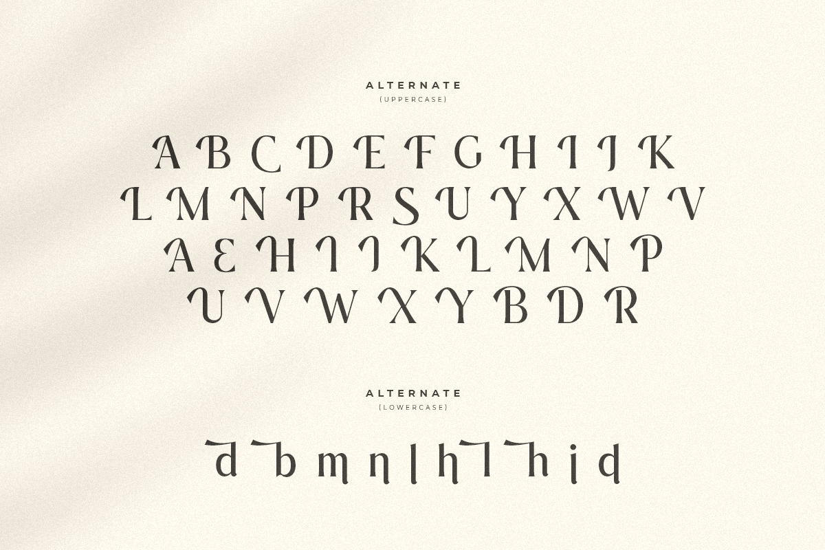 Journey – Aesthetic Serif Font, a Serif Font by Hamz Studio (Photo 15 of 20)