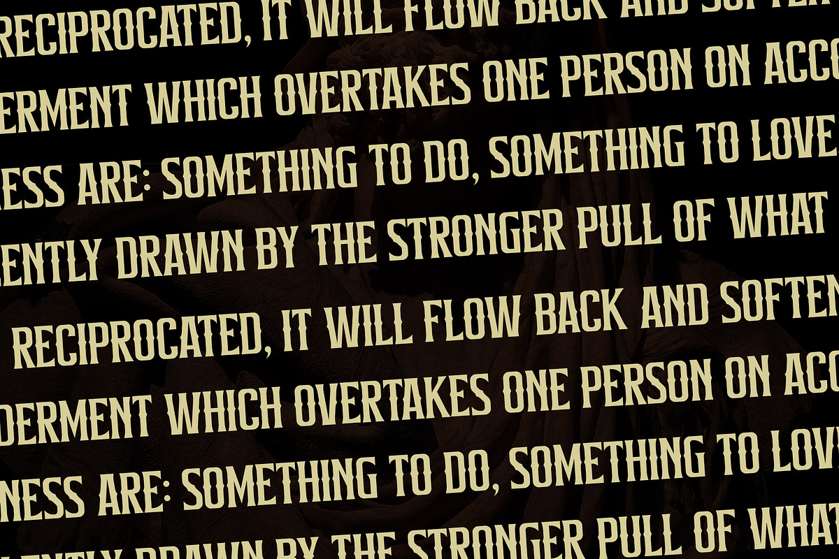 Alinore Display Typeface Font LS, a Sans Serif Font by Storytype Studio (Photo 8 of 15)