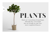 Legatum font family (5 fonts), a Serif Font by Fontop (Thumbnail 13 of 16)