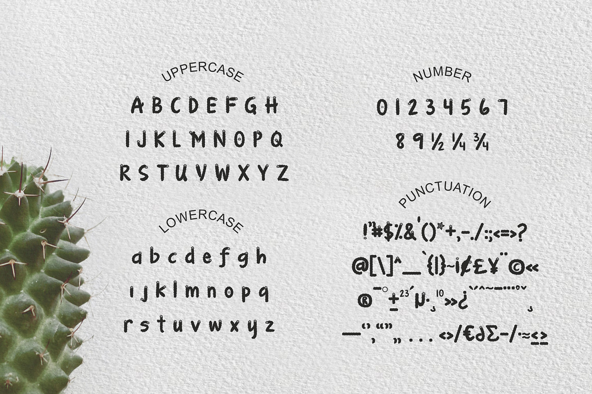 Cactus Garden Solid, a Font by iyhulmonsta (Photo 5 of 8)