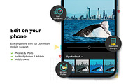 20 Gold Coast Lightroom Presets, a Preset Add-On by skybluecreative (Thumbnail 8 of 10)