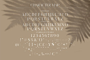 BROW VOLKY Stylish Serif Font, a Serif Font by Storytype Studio (Thumbnail 8 of 10)