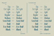 The Qualified Family (54 Fonts), a Serif Font by Positive TypeFoundry (Thumbnail 9 of 15)