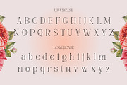 Mounchera - Art Deco Serif, a Serif Font by Variatype (Thumbnail 6 of 14)