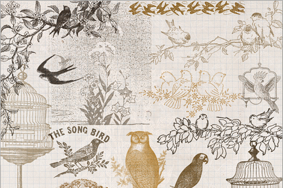 Vintage Bird Brushes, a Brush Add-On by Jodie Lee Studio
