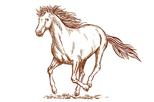 Brown running horse sketch, a Background Graphic by Vector Tradition
