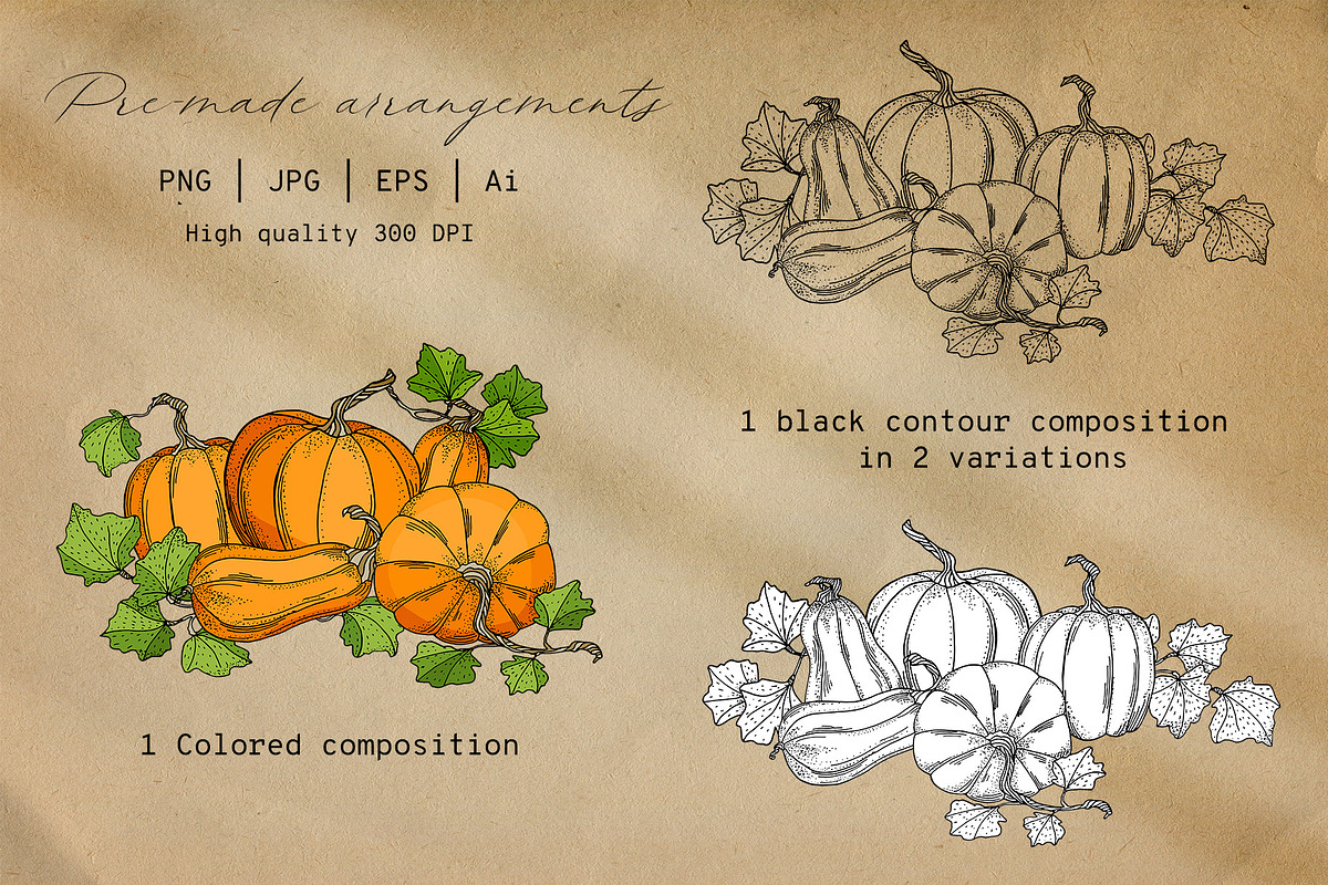Autumn Pumpkins Hand Drawn Graphics, a Food Illustration by Olya Haifisch (Photo 6 of 9)