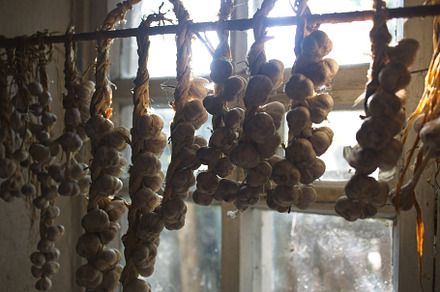 braided garlic hanging from the window