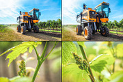 Viticulture /32 pics, a Brushes & More by tydla (Thumbnail 4 of 9)