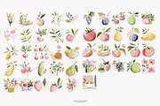 orchard watercolor clipart set, a Decorative Illustration by Patishop Art (Thumbnail 8 of 9)