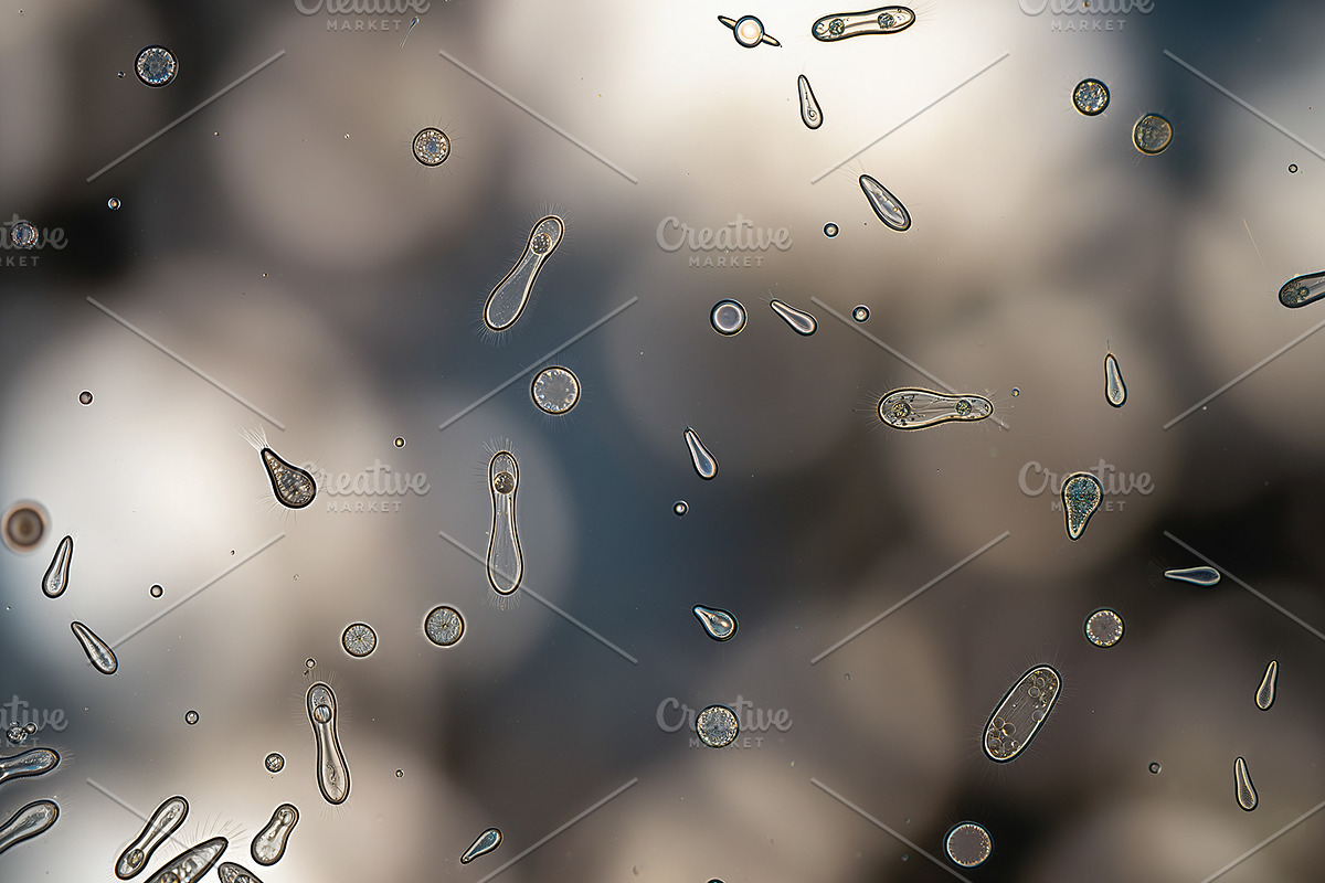 52 Fictional Microscopic Organisms, an Abstract Photo by h.utomo (Photo 48 of 52)