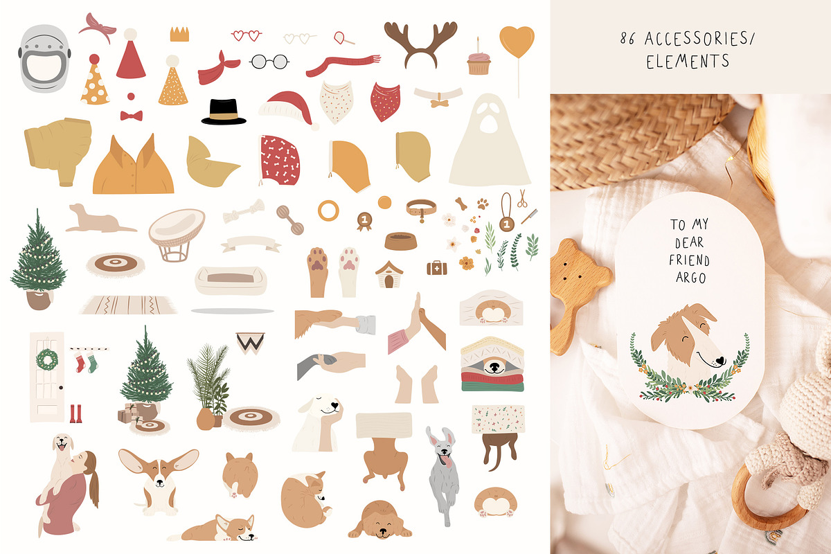 DOG Breeds collection, an Animal Illustration by Alisovna (Photo 11 of 14)