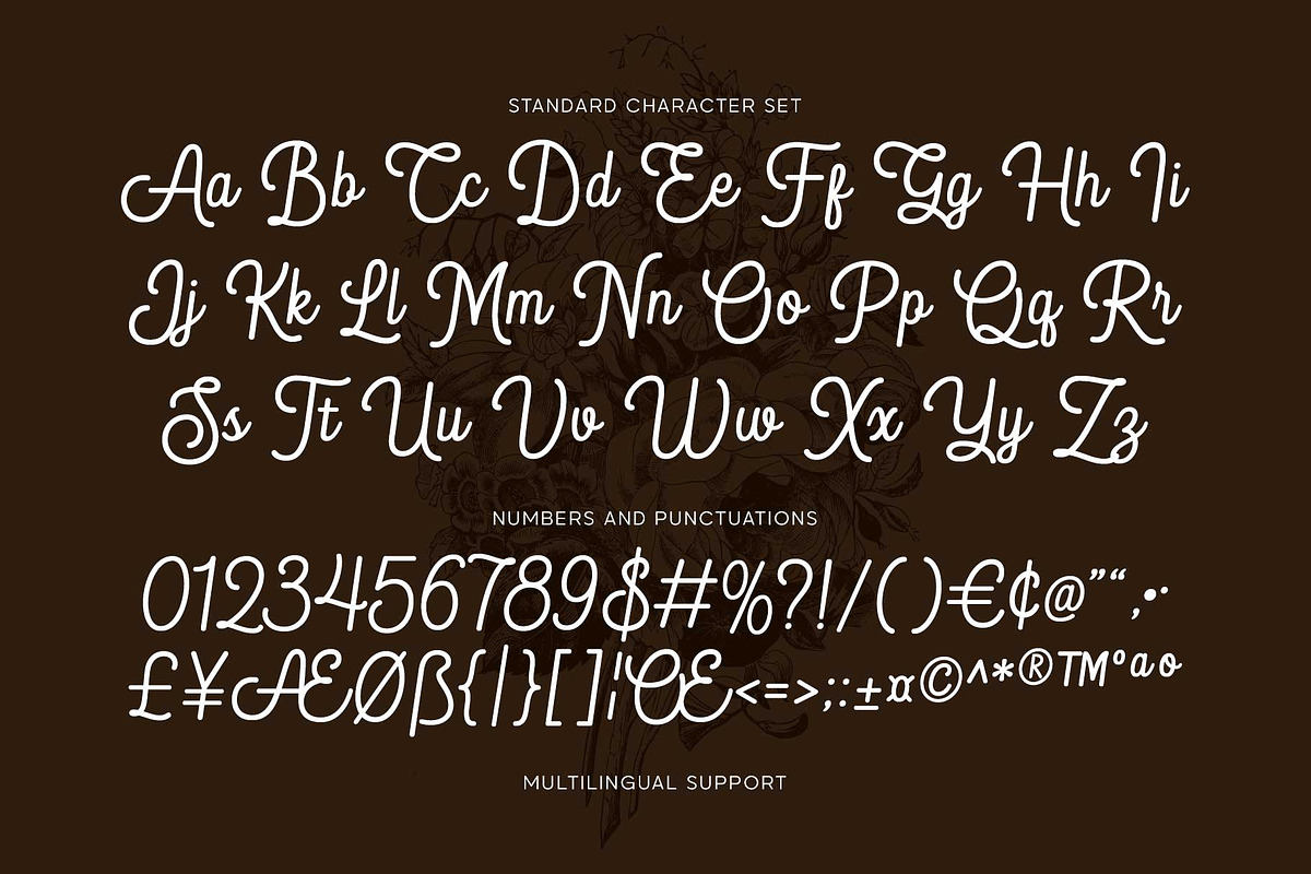 Blandony - Modern Vintage Monoline, a Script Font by Novitype (Photo 12 of 12)