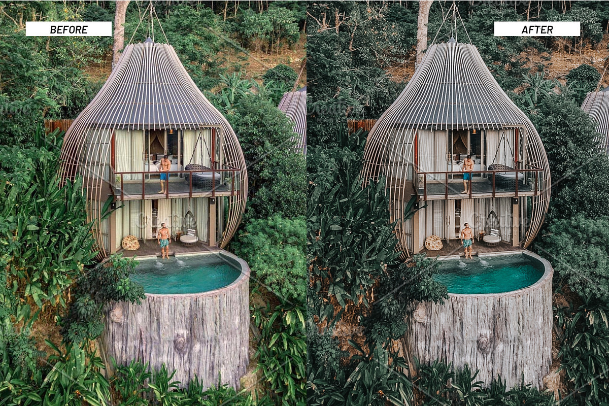Jungle Lightroom Presets, an Action Add-On by Best Lightroom Presets (Photo 19 of 19)