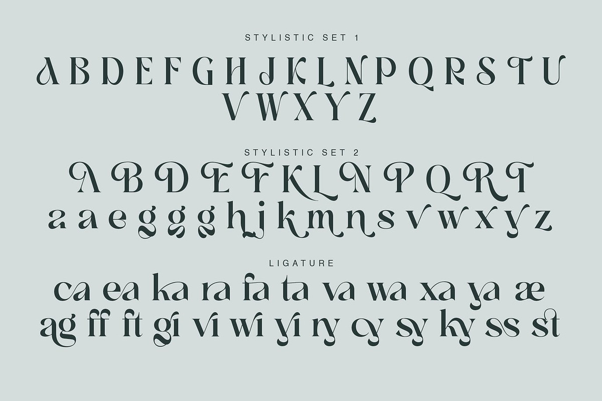 Jvassa Modern Serif Font, a Serif Font by Luna Shop (Photo 3 of 6)