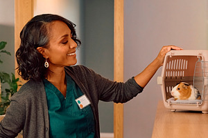 Mature black woman at veterinary clinic waiting area with guinea, a Photo by DanFLCreativo