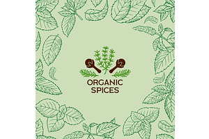 Mint background. organic spices, a Food Illustration by Onyx
