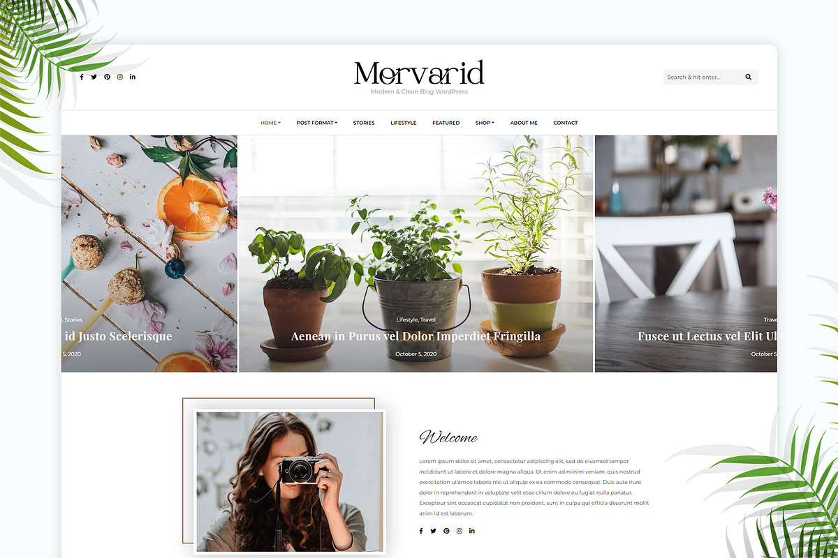 Morvarid - Blog & Shop WP Theme, a WordPress Template by azuratheme (Photo 1 of 6)