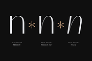 Neue Mylon - 21 Fonts, a Sans Serif Font by Nasir Udin (Thumbnail 9 of 14)