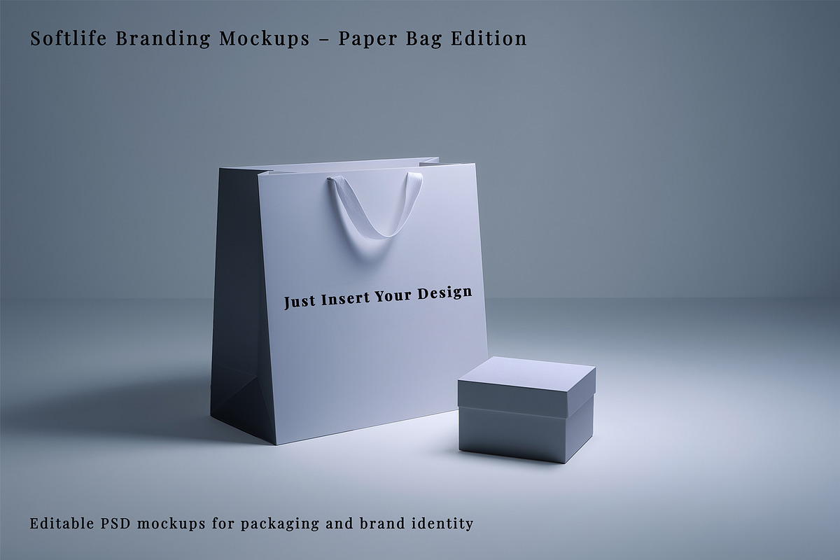 Softlife Branding Mockups Collection, a Packaging Mockup by Vika_Softlife (Photo 4 of 6)
