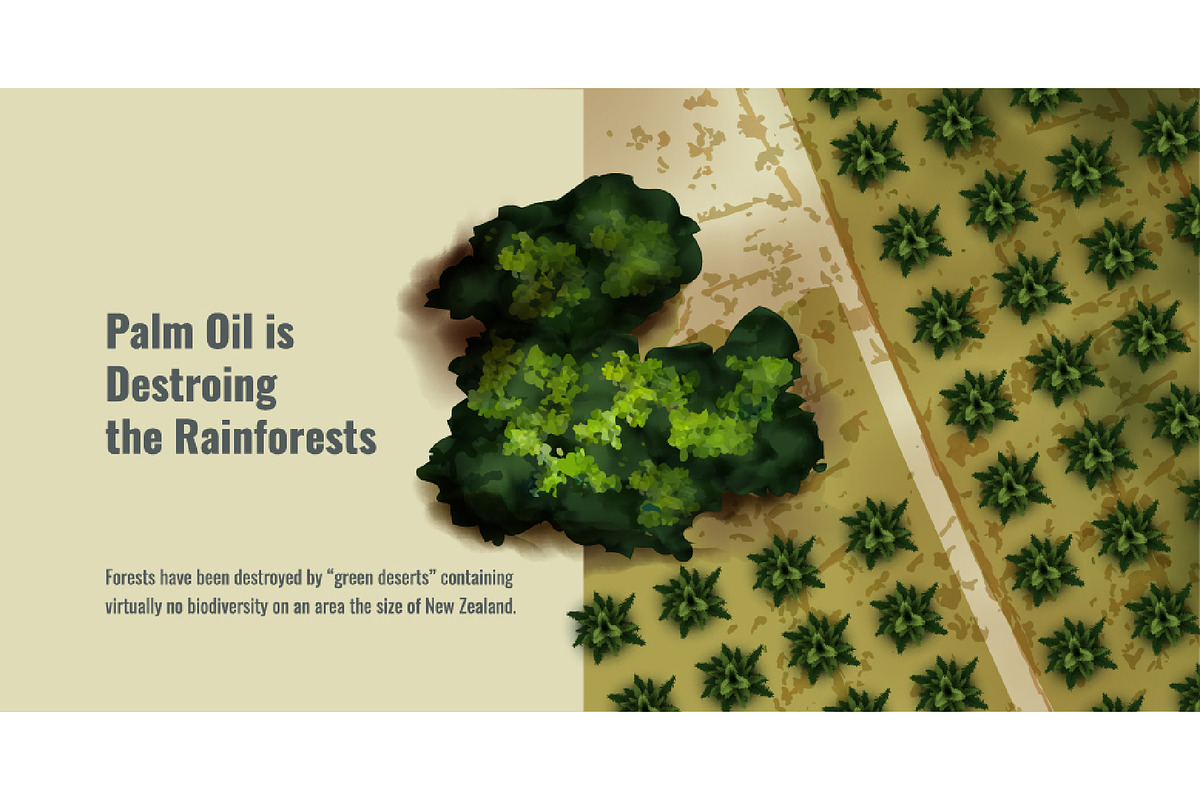 Vector Realistic Deforestation Set, an Animal Illustration by Zonda (Photo 2 of 12)