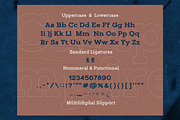 Campfire - Slab Serif, a Slab Serif Font by Typia Nesia (Thumbnail 8 of 8)