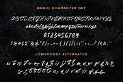 Matriver - Brush Font, a Script Font by Dirtyline Studio (Thumbnail 11 of 11)