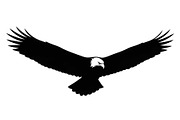50 Flying Eagle Silhouette Vector Bu, an Illustration by Designs_River (Thumbnail 30 of 51)