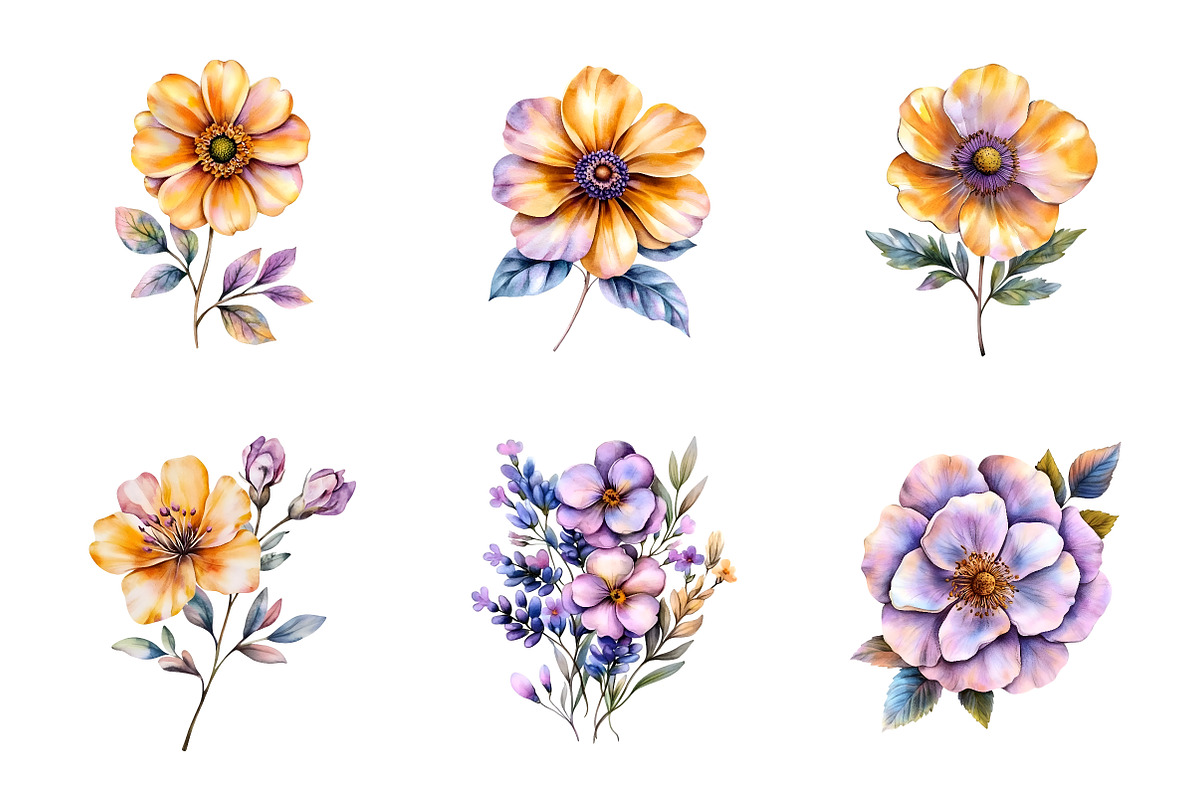 Watercolor Summer Wildflowers Png, an Illustration by SinaCreation (Photo 3 of 9)
