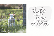 Blooming - Handwritten Font, a Handwritten Font by KA Designs (Thumbnail 3 of 6)