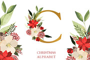 20% OFF! Christmas Floral Alphabet, an Illustration by Chus Moreno Studio (Thumbnail 1 of 11)