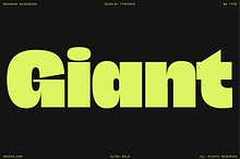 BN Giant