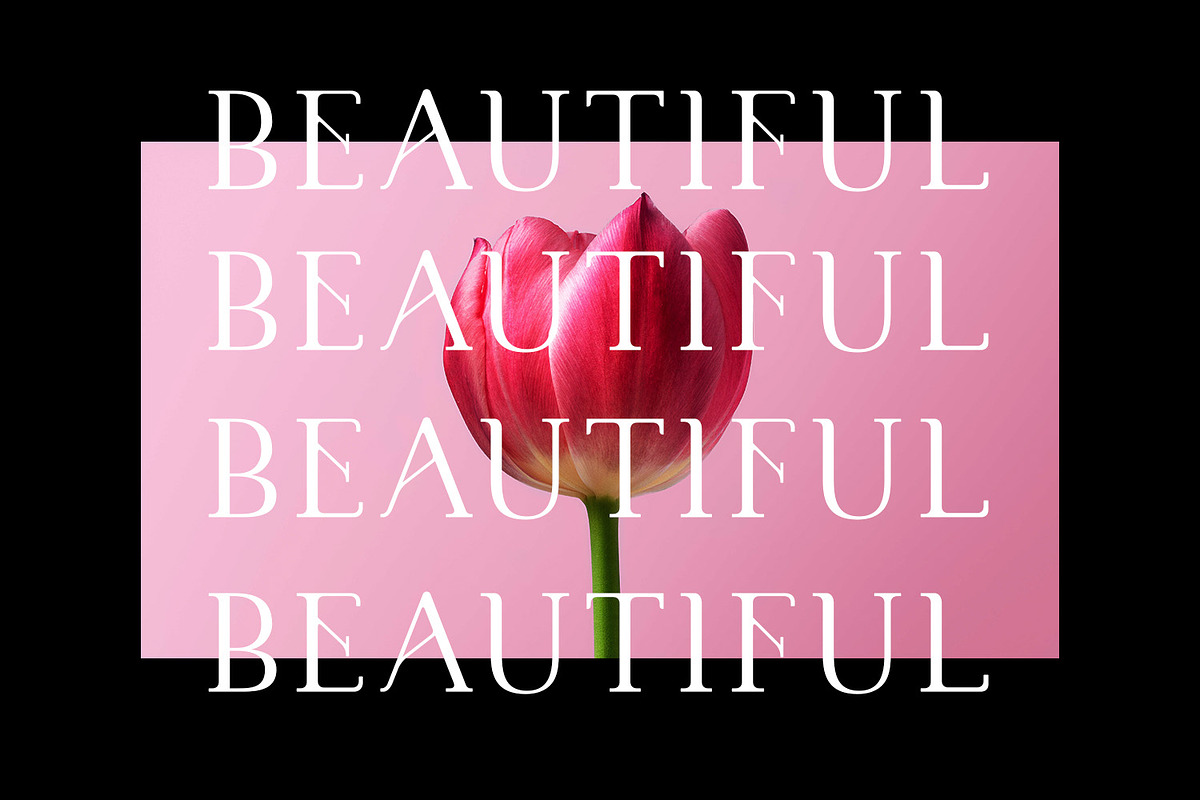 CANNU, a Serif Font by DYSA Studio (Photo 11 of 13)