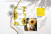 Sunflower Patterns Collection, a Pattern Graphic by ilonitta (Thumbnail 11 of 16)