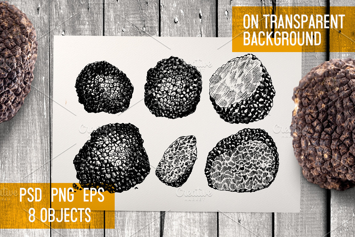 Truffle. Mushroom hand drawn set, a Food Illustration by Alena Kaz (Photo 2 of 3)