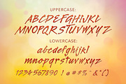 Legault Bold Hand-Drawn Script, a Script Font by The Thrill of Design (Thumbnail 4 of 6)