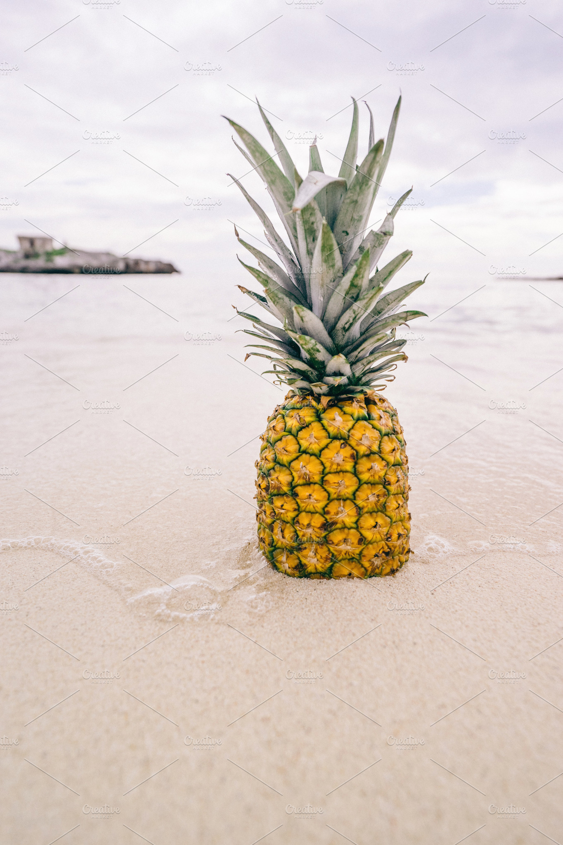 Pineapple at Beach in Mexico 7, a Nature Photo by Pineapple Shop