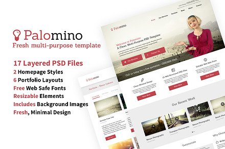 Website Template 17 PSDs