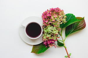 Hydrangea Flowers and Tea Flat Lay, a Food & Drink Photo by René Jordaan Photography