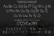 Sans Sample, a Sans Serif Font by FreshTypeINK (Thumbnail 8 of 8)