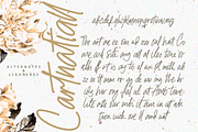 Cartnatiall - A Handwritten Font, a Handwritten Font by overlaytemplates (Thumbnail 5 of 5)
