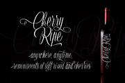 Trauville, a Script Font by Eurotypo (Thumbnail 6 of 6)
