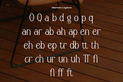 Lodbeth - Modern Serif Font, a Serif Font by Flawless And Co (Thumbnail 10 of 10)