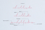 Challista Signature - 30%OFF, a Script Font by madeDeduk (Thumbnail 5 of 8)