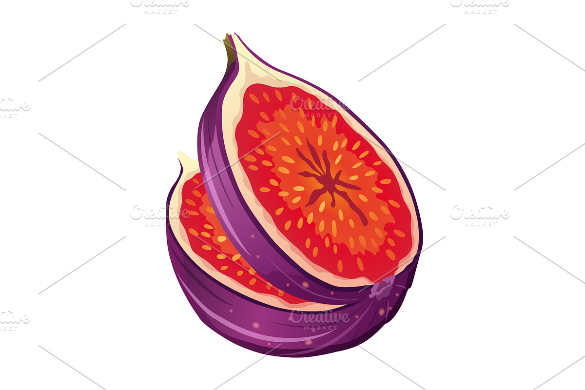 Fig Fruit Cut with Thin Skin and, a Food Illustration by the8monkey