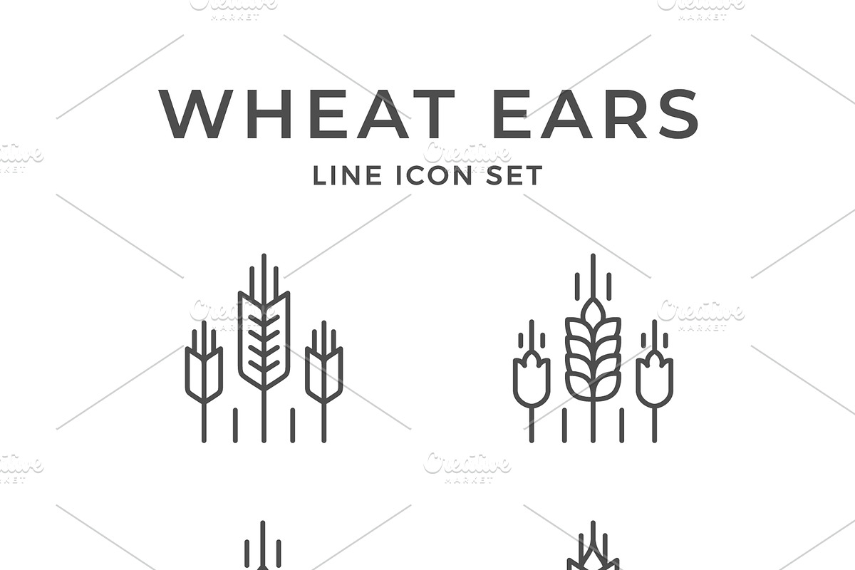 Set line icons of wheat ears, an Outline Icon by motorama (Photo 1 of 2)