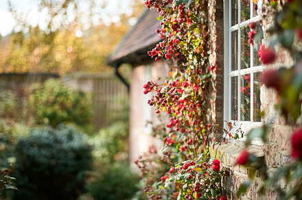 Autumn cottage in the English countryside style, old village arc, an Architecture Photo by Anneleven