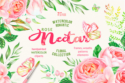 Watercolor Rose Nectar - clipart